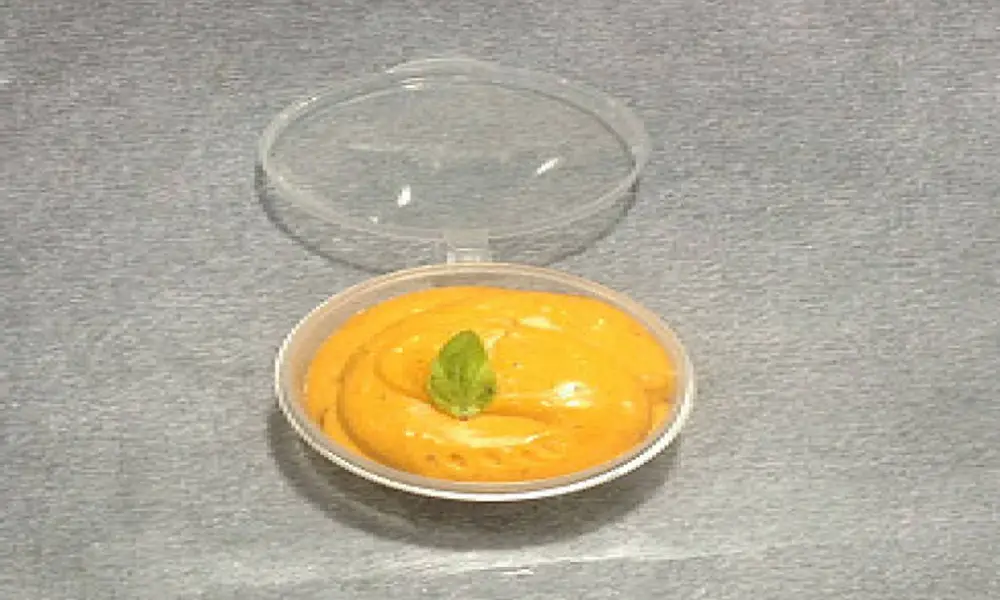 Chipotle dip from Wicked Good Pizza, Gurugram